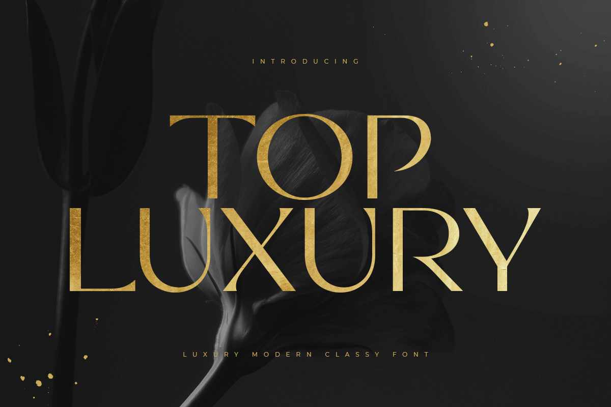 top_luxury_luxury_modern_classy_font_1_l7JkUswkMt.png