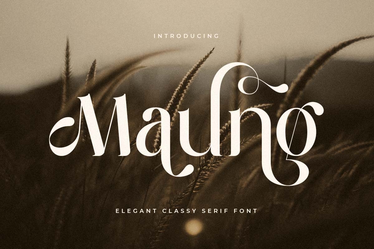 maung_elegant_classy_serif_font_1_zB6BCPUsd1.jpg